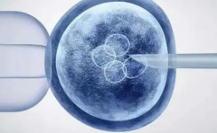 2023南平三代试管全攻略：费用、成功率一网打尽