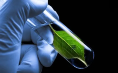 南京军区福州总医院三代试管全攻略：一站式贴心服务，助您孕程无忧