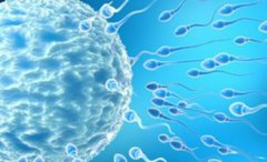 哈尔滨试管双胞胎的费用清单，哈尔滨试管双胞胎的详细过程