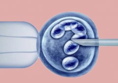 南昌做试管的成功率,南昌做试管的具体流程