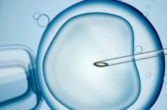 海口试管3代的基本费用介绍，辅助技术和服务费用介绍