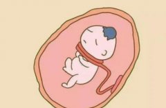 上海试管政策规定有哪些？如何看待上海试管政策规定？