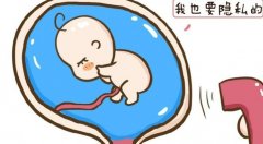 上海九院试管的优势，流程及成功率介绍