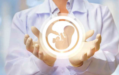 银川试管之路：费用、周期与成功率全解析