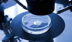 海口试管收费标准揭晓：平均价格2-5万元，助您实现生育梦想！