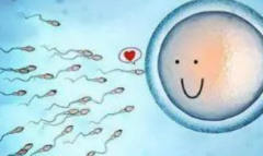 长春离婚了的单身女人可以选择试管技术来实现生育梦想