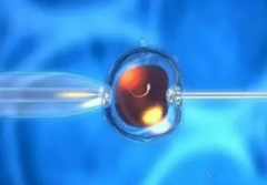 温州三代试管费用揭秘：至少10万元起步，做好经济准备迎接新生命