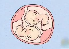 湖南附一试管费用及成功率全解析