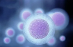 2024年在海口做三代试管包成功的费用构成及总花费