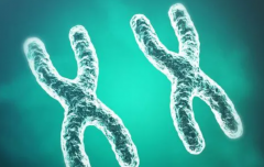 三代试管选择性别是否违法，全球不同地区法律规定大揭秘！