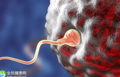 2024济南三代试管包生'男'孩费用揭秘：详细价格构成一览！