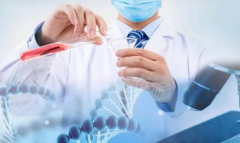 东莞不同医院做试管的费用差别有多大？