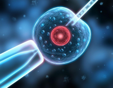 北京试管费用全解析，最新收费清单一览无余