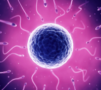 南京试管私人医院TOP10揭晓：权威排名与详细特色介绍，助您精准选择