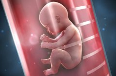 哪些人适合做第三代试管婴儿？第三代试管对母亲和胚胎会产生影响吗？