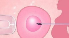 上海排名前十的试管医院汇总名单