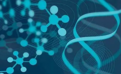 第三代试管攻略：一步了解流程与手术注意事项