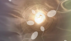 男性弱精做试管费用详解：从数千元到数十万不等