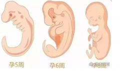 烟台毓璜顶医院做试管流程介绍，2024试管成功率可达70%