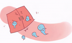 北京试管价格大揭秘，成功率与费用明细一览无