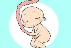 分析安徽省二院试管费用与成功率