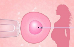 周口市中心医院试管费用全览：单周期详细费用明细大公开！