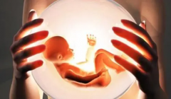 天津试管费用与成功率，权威推荐知名试管医院