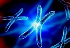 厦门试管费用全面预估：全程概览，预算规划约需20万元