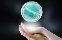 安徽省立医院试管费用全攻略：揭秘成本明细，附赠实用省钱秘籍