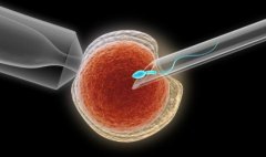 江苏省人民医院试管技术优势及费用参考介绍