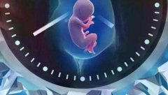 吉安妇幼保健院以提高助孕成功率为目标，了解试管费用参考一览