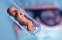 想要试管？了解河北省二院的费用与成功率吧！