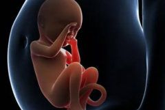  试管之路不再迷茫！济南妇幼保健院公开试管价格清单