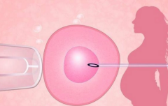 专业启航希望：武汉私立医院试管技术铺就成功孕育之路！