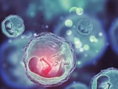 玉溪人民医院试管费用全解析,助您好孕无忧！