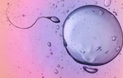 新乡第三代试管技术，生女孩费用与助孕成功率全解析