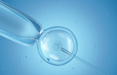 泰国试管费用全面揭晓：踏上生育之旅前，这份指南您不容错过