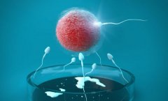 三明助孕指南，试管费用估算和医院成功率排行