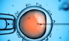 一文了解唐都医院试管费用及供卵价格