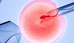 一文介绍遵义试管技术优势及成功率排行