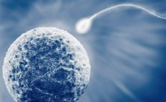 一文了解海南试管技术，十大试管医院详细介绍