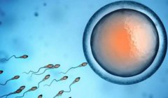 如何选择试管医院？一文解析河北大学第一医院试管技术