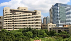 最新上海六院试管费用明细！套餐30万左右