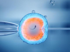 2024吉林试管相关介绍，包括费用流程等