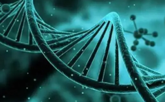 武汉大学人民医院试管价格揭秘：贵不贵看了就知道