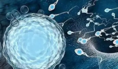 三代试管什么时候才能进周期？务必做好这些准备！