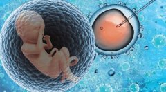 蚌医一附院试管服务升级，2023年费用与助孕成功率双优呈现