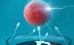 Y精子分离术VS三代试管：揭秘生殖技术的两大巨头