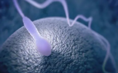 跨国试管费用大比拼：马来西亚VS全球热门地点