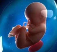 省钱秘籍大放送！上海十院试管全攻略，内含详细收费标准